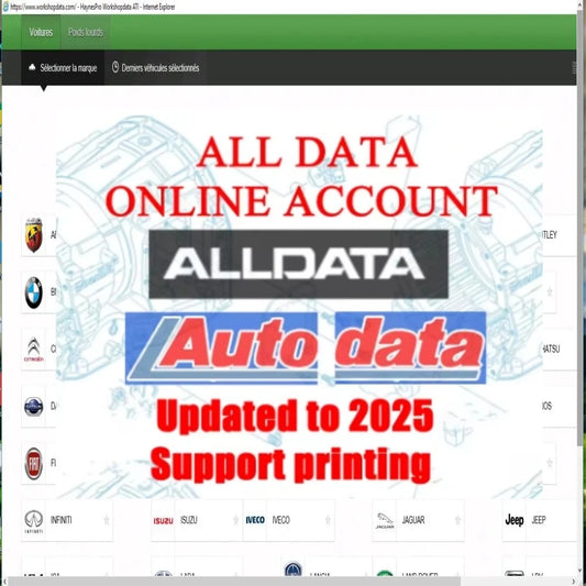 2025 Hot Alldata 10.53 Auto Repair Software Autodata 3.45 Mi tchell 2015 ATSG Vivid Workshop ElsaWin Car Repair Software 5 in 1