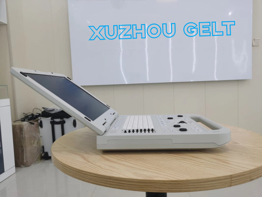 Animals Full Digital Laptop Ultrasound 15-inch Screen Ultrasonic Scanner Machine Veterinary Ultrasound Portable for Pets