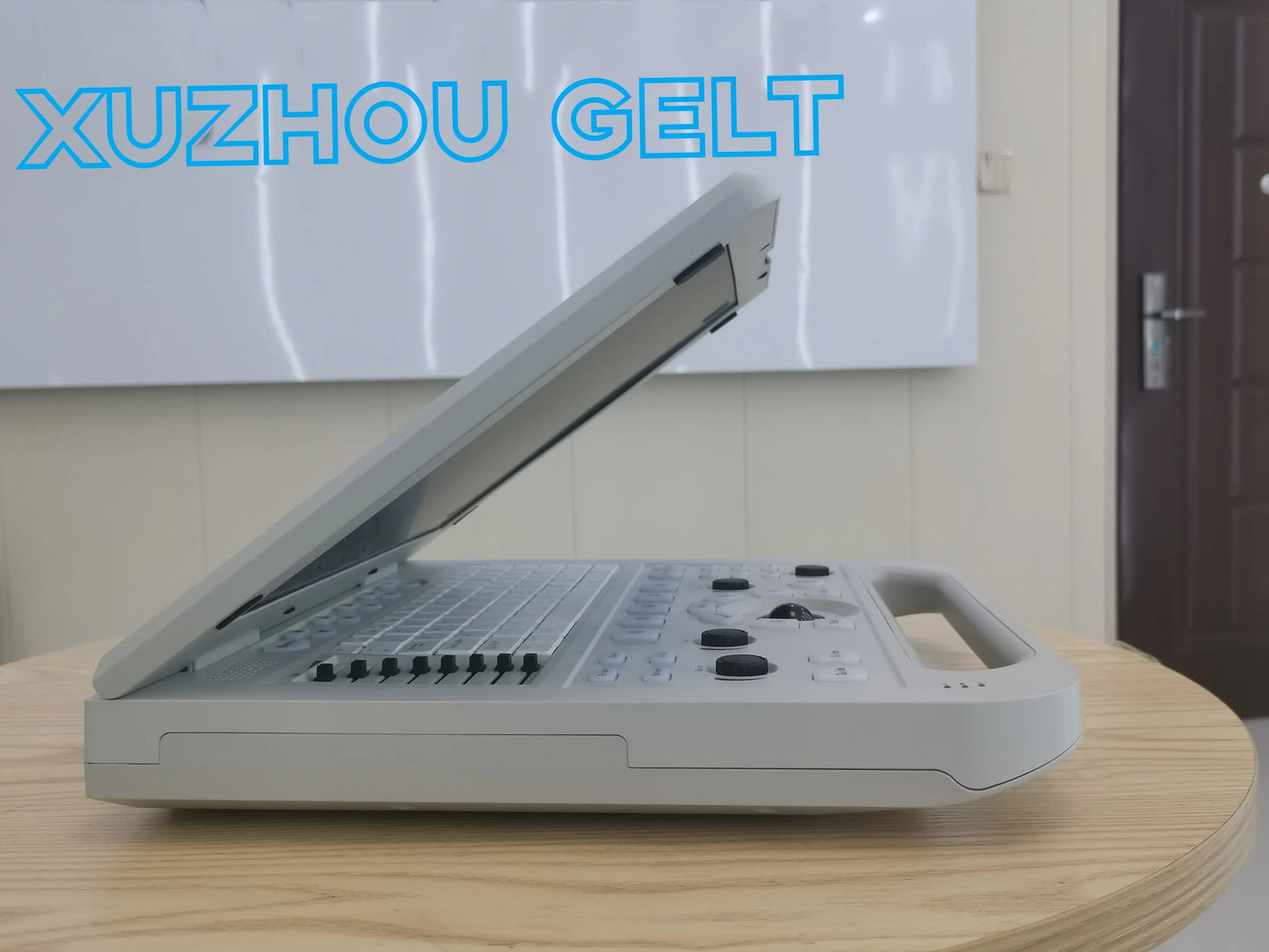 Animals Full Digital Laptop Ultrasound 15-inch Screen Ultrasonic Scanner Machine Veterinary Ultrasound Portable for Pets