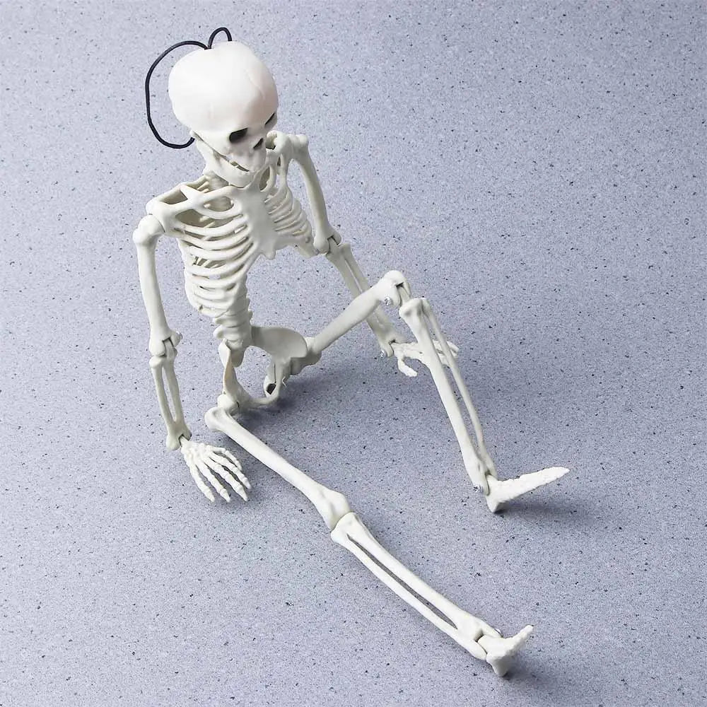40cm Car interior accessories Biology teaching Ornaments Skeleton model Human Bones Car Rearview mirror pendant Halloween props