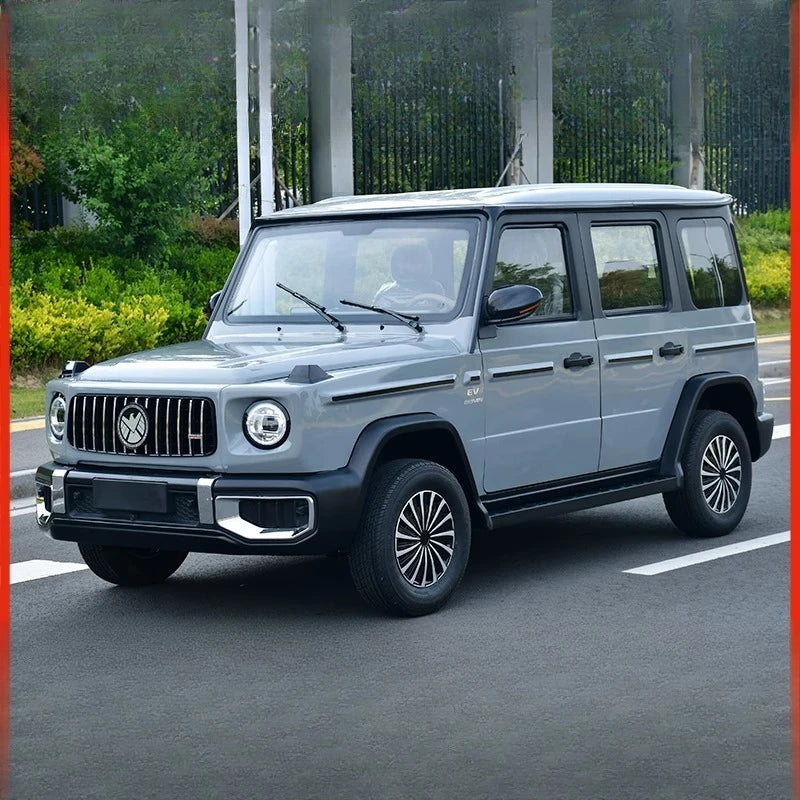 2025 new four-wheeled electric vehicle home old man Le pick-up