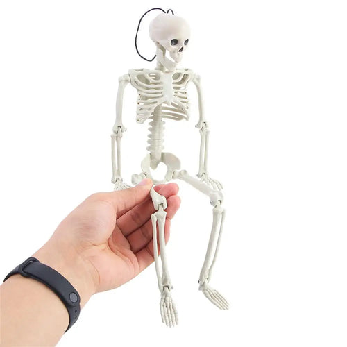 40cm Car interior accessories Biology teaching Ornaments Skeleton model Human Bones Car Rearview mirror pendant Halloween props