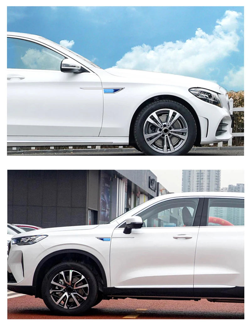 2pcs car accessory Side Doors Blade car stickers car accessories interiors for kia carnival