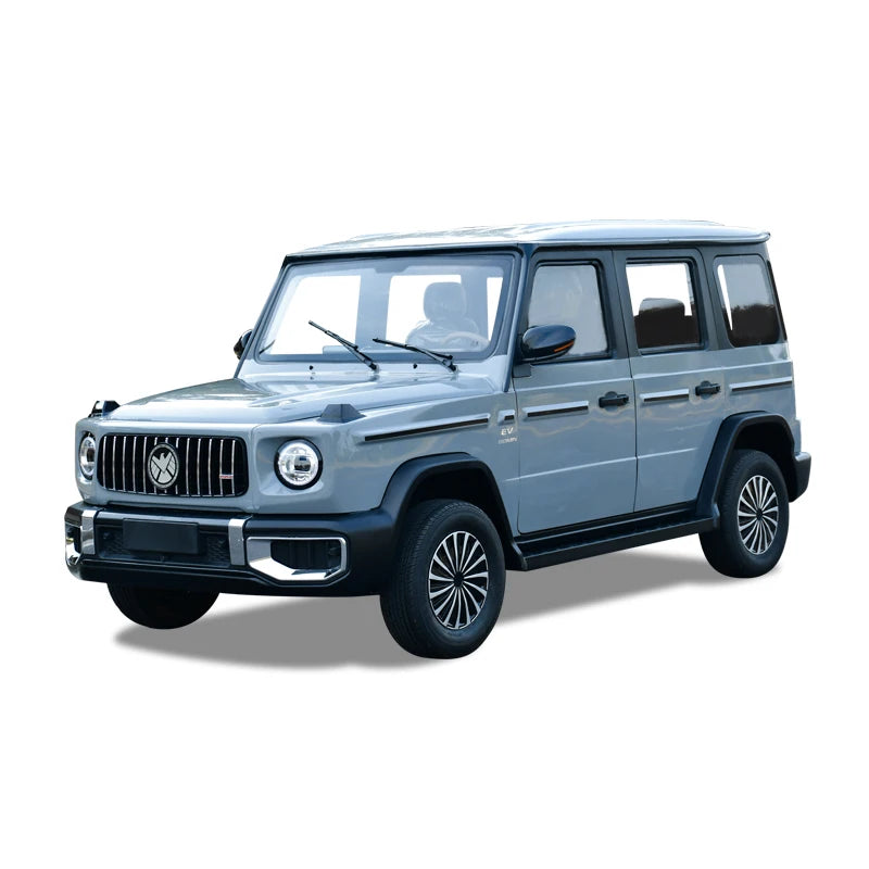 2025 new four-wheeled electric vehicle home old man Le pick-up