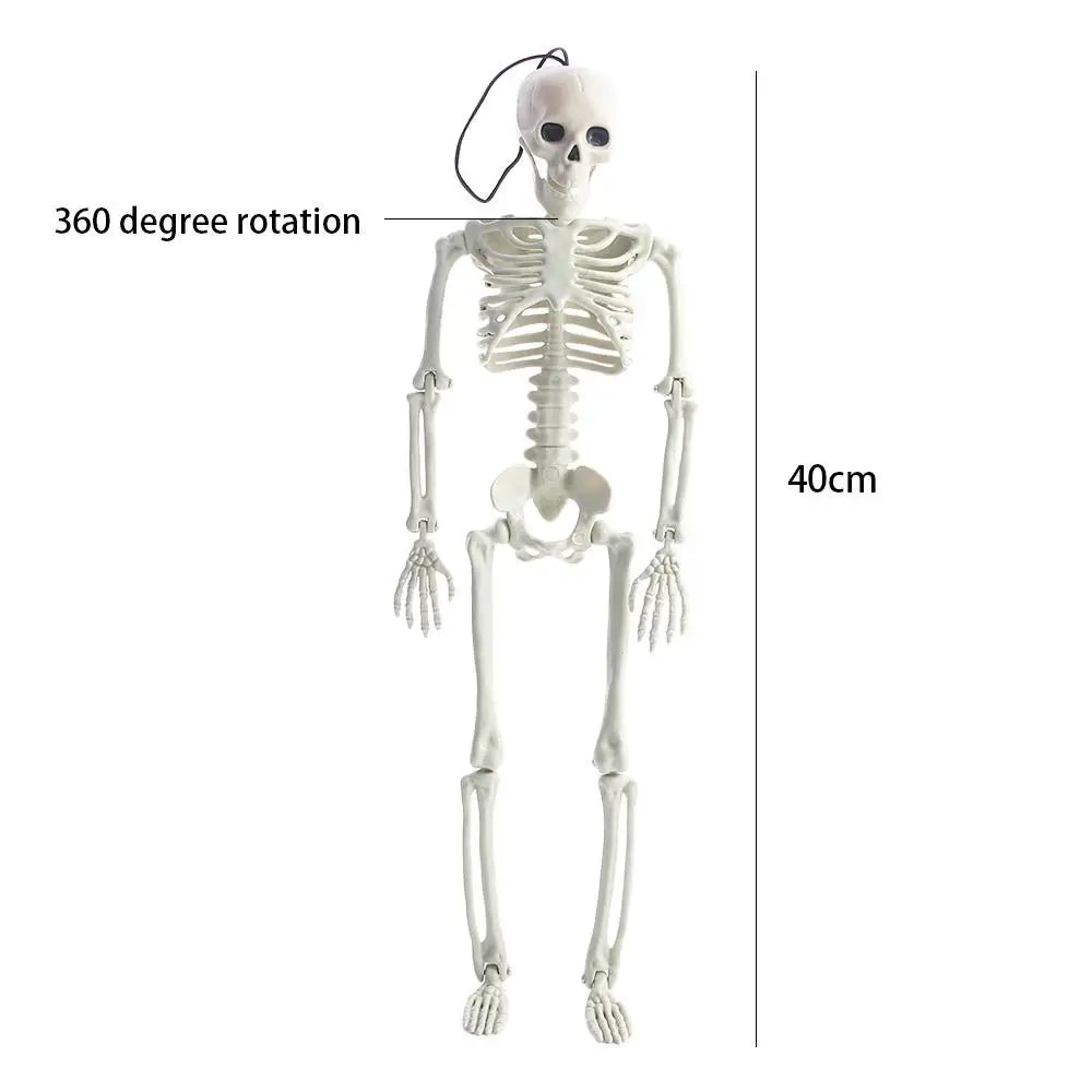 40cm Car interior accessories Biology teaching Ornaments Skeleton model Human Bones Car Rearview mirror pendant Halloween props