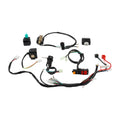ATV Motorcycle Electrics Wiring Harness Spark Plug CDI Ignition Coil Key Switch Kit For Dirt Bike 50cc-110cc UTV Quad Go Kart