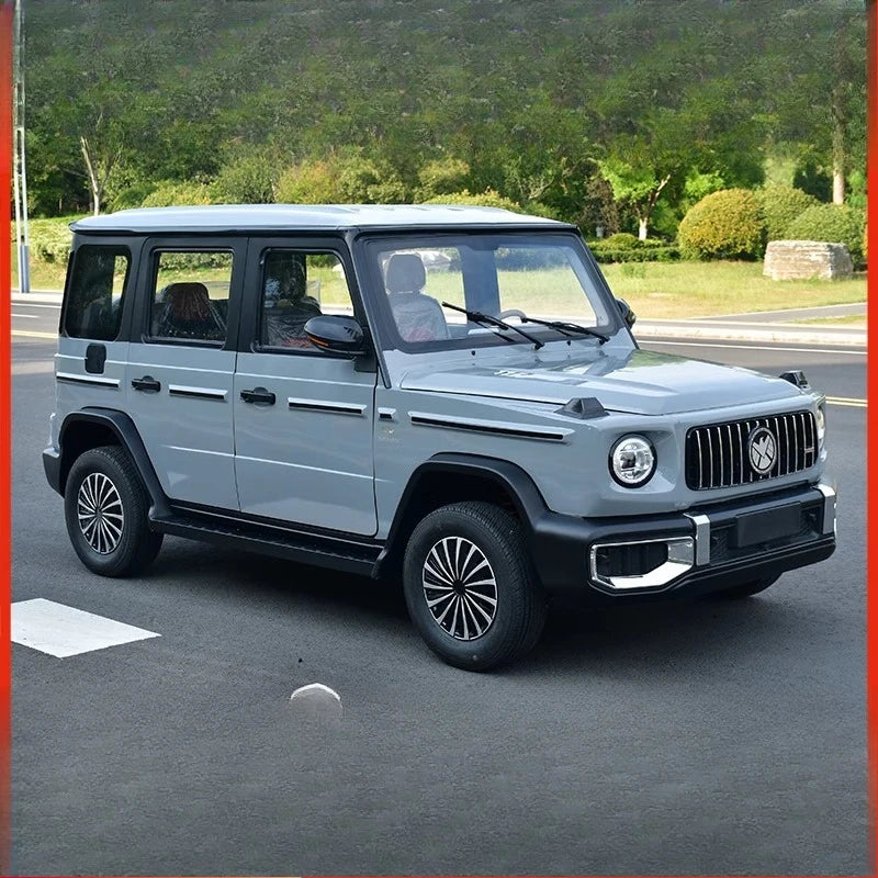 2025 new four-wheeled electric vehicle home old man Le pick-up
