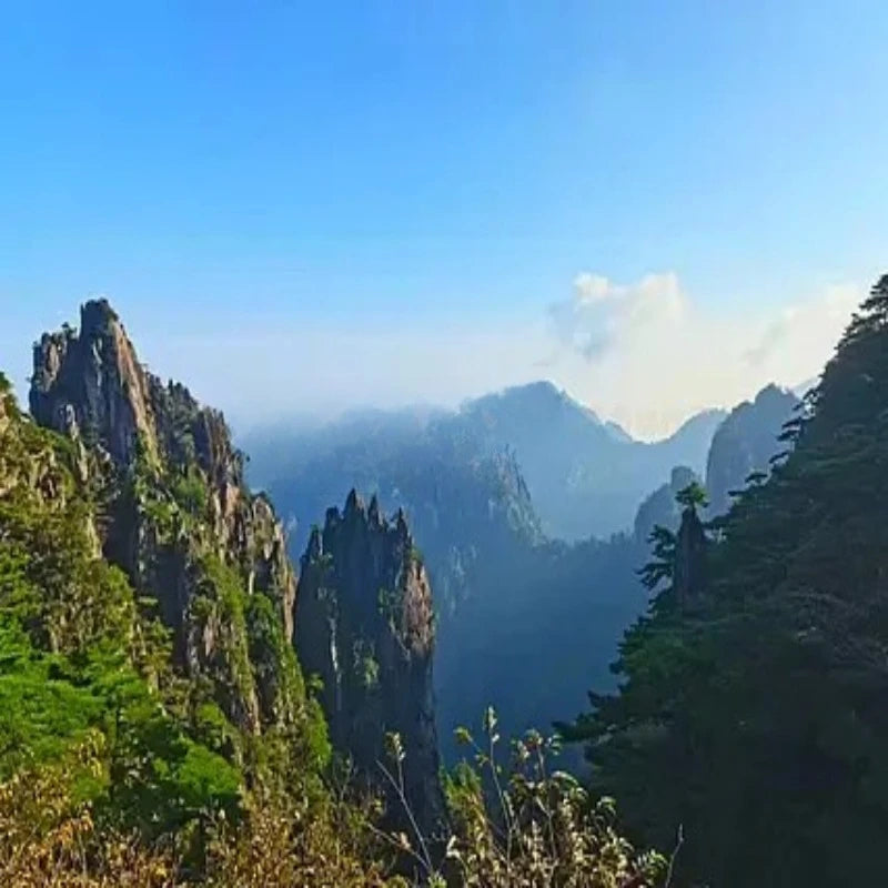 Motor T serie AT ESC AT 55A AT20A AT30A AT40A AT50A AT75A AT115A ESC para control remoto de aviones de ala fija RC