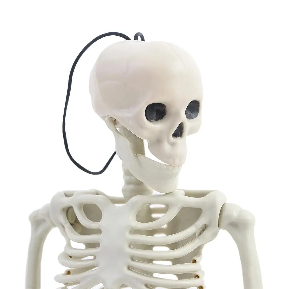 40cm Car interior accessories Biology teaching Ornaments Skeleton model Human Bones Car Rearview mirror pendant Halloween props